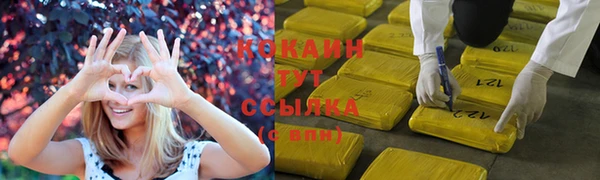 твердый Аркадак