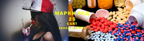 твердый Аркадак