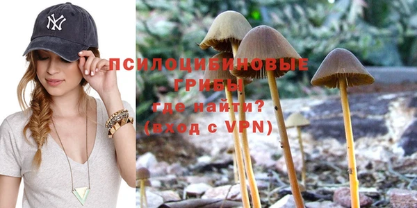 твердый Аркадак