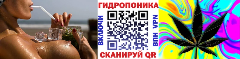 Каннабис White Widow  магазин продажи наркотиков  Мирный 